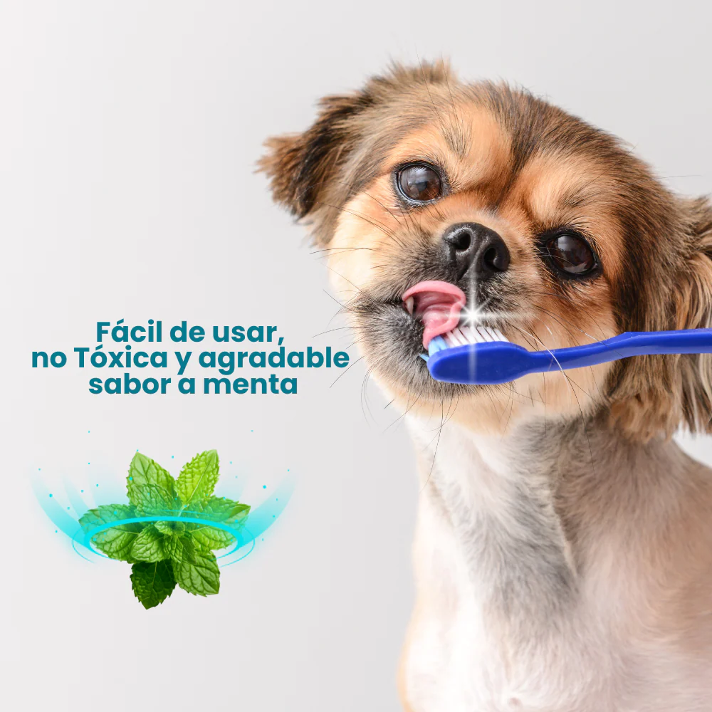 Enjuague Bucal Kanu en Espuma Menta para Perro 150 Ml
