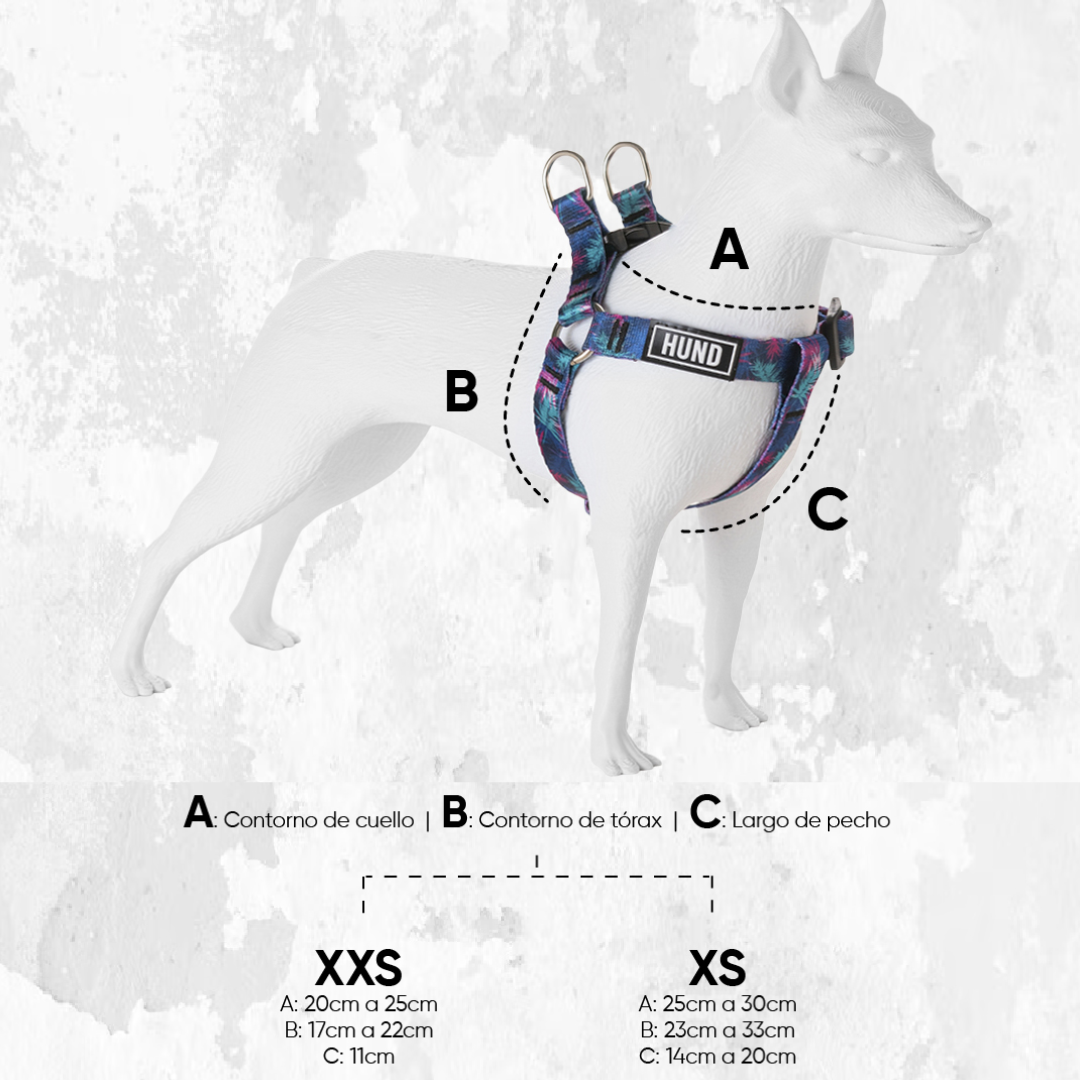 PRETAL HUND CHEETAH - Imagen 6