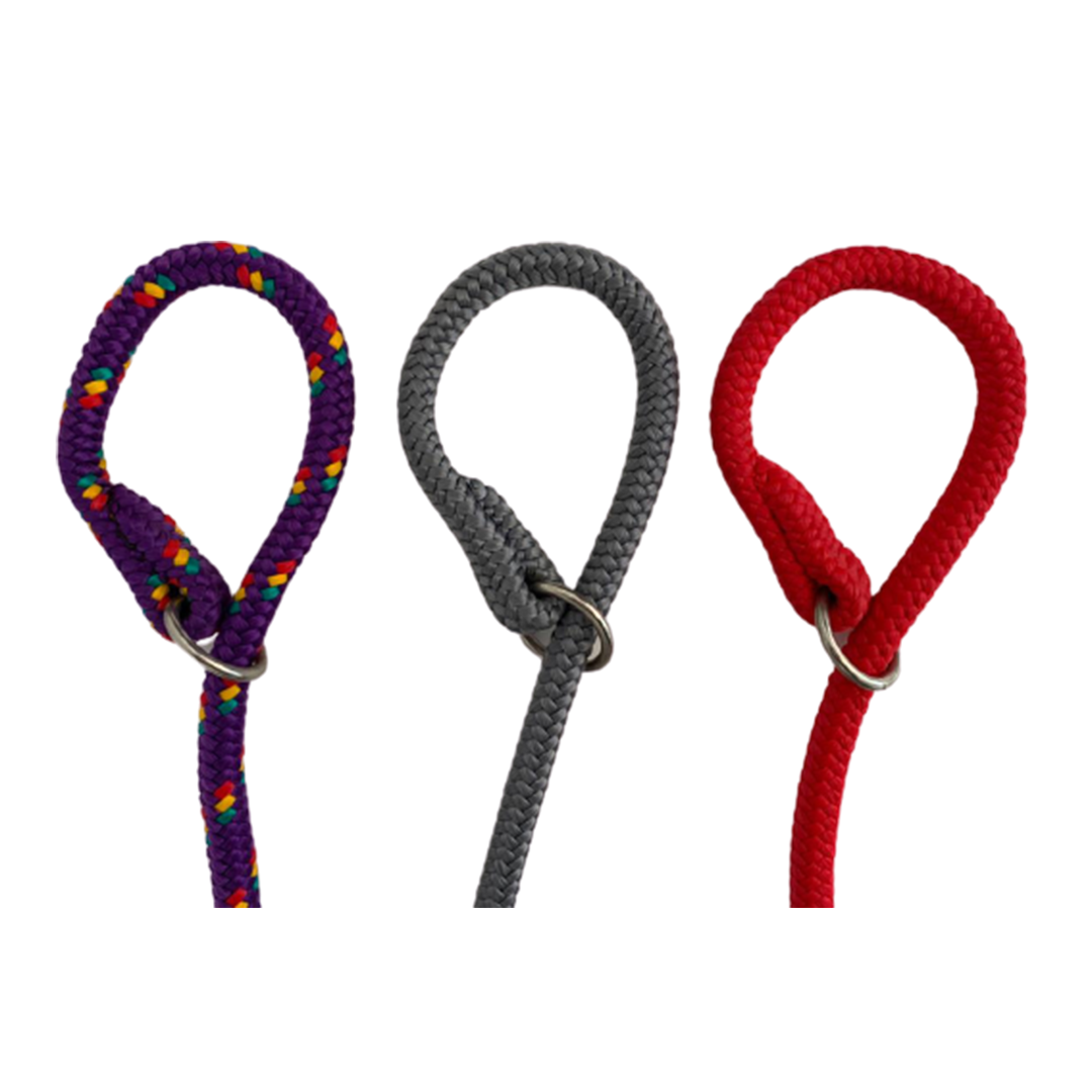 CONJUNTO ALPINA CORTA - Imagen 3