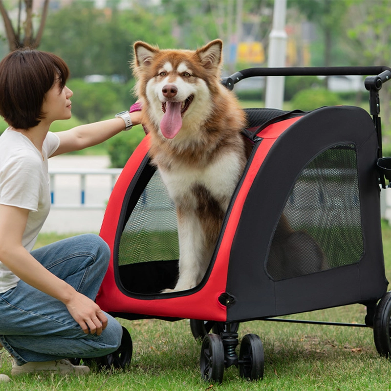 Carro Transportador Run