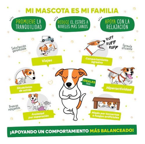 Waggys Aceite Salmón Perro Antiestrés Y Ansiedad 250mg 30 Ml - Imagen 5