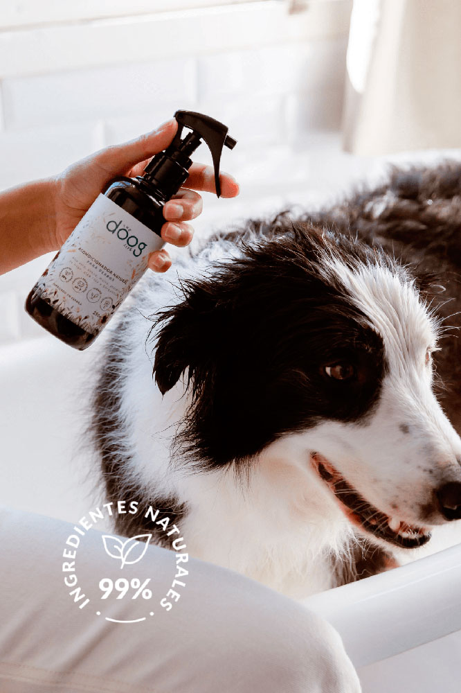 The Doog Life Bruma limpiador 3 en 1 Bergamota 250 ml