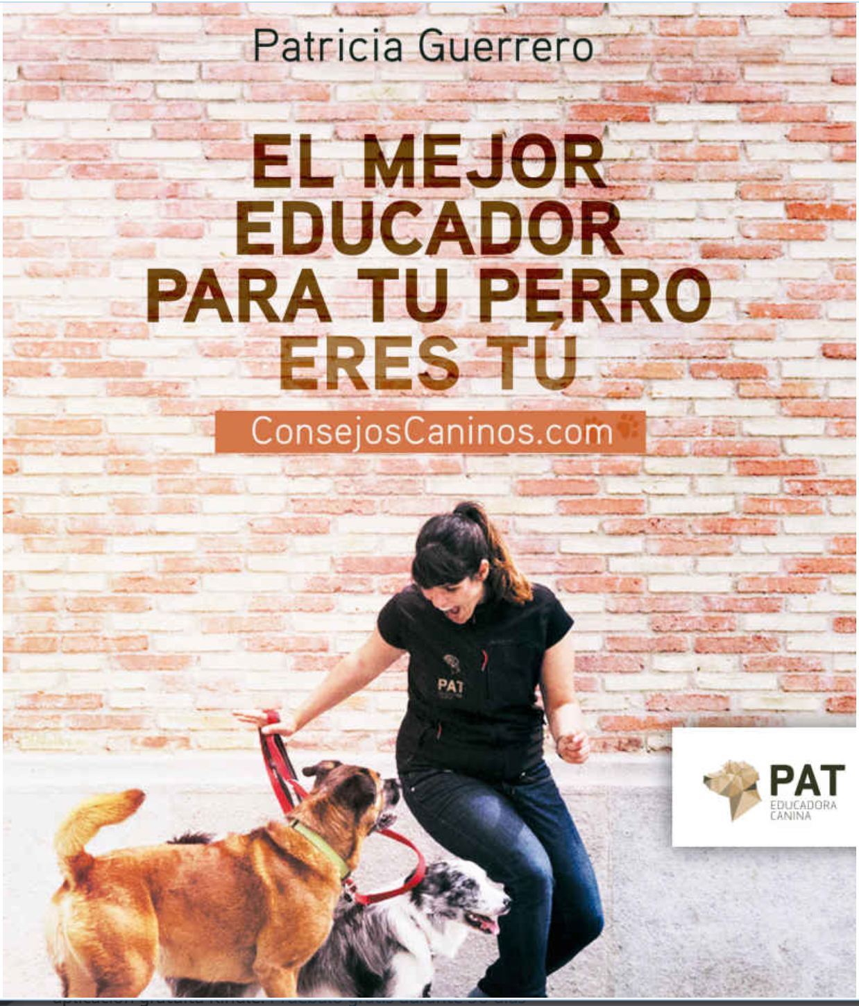 El mejor educador para tu perro eres tu. Consejos caninos.com