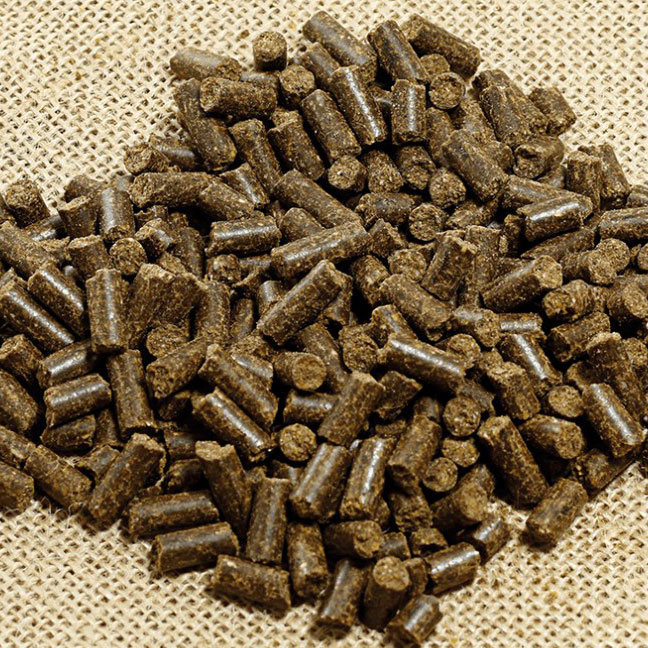 Naturextra Silvestre Pollo para gatos 3 kg