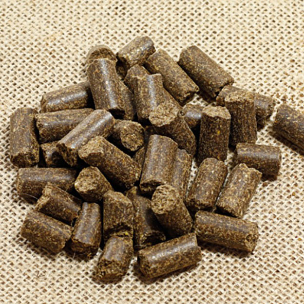 Naturextra Ternera Charolesa y Salmón
