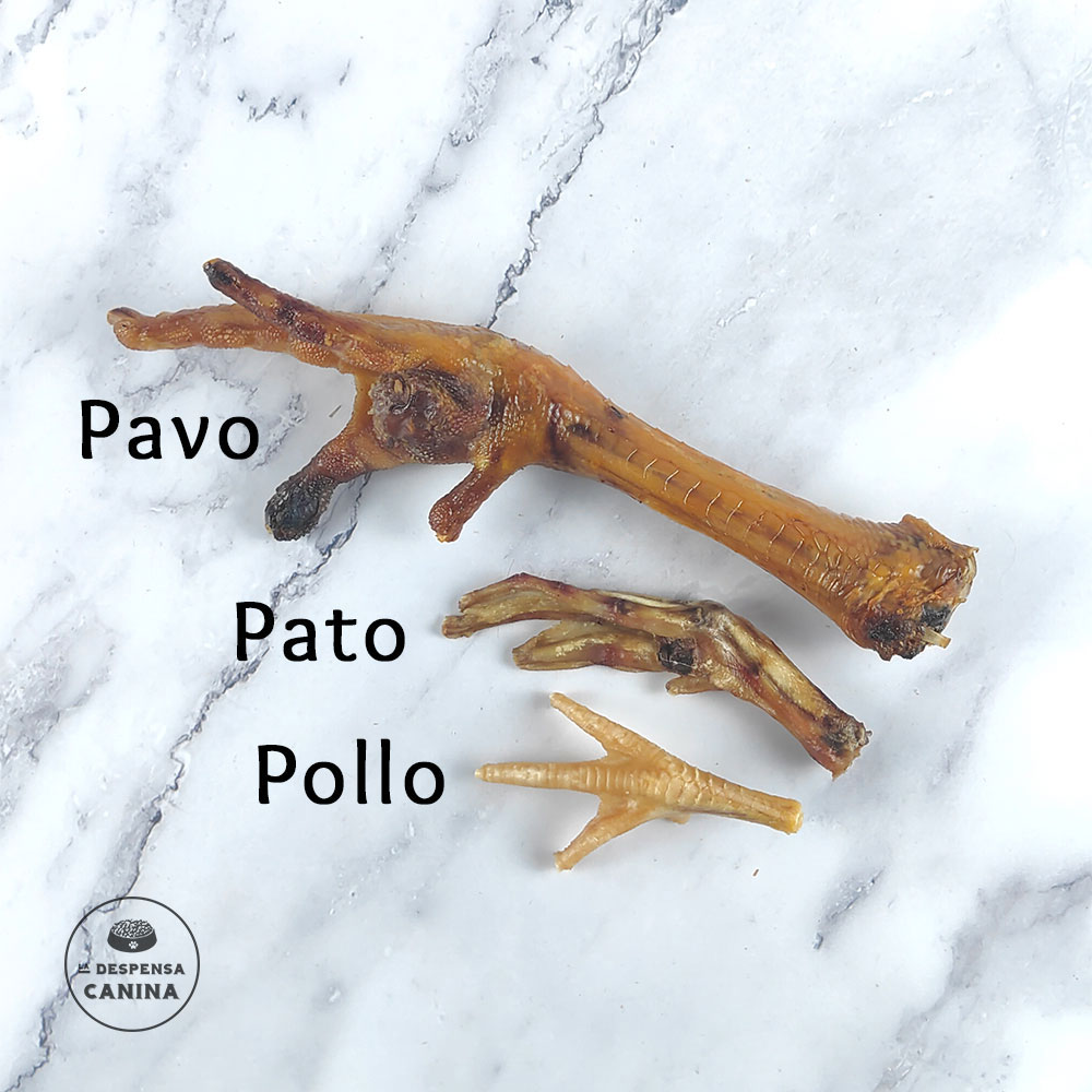 Pata de Pavo 1 ud
