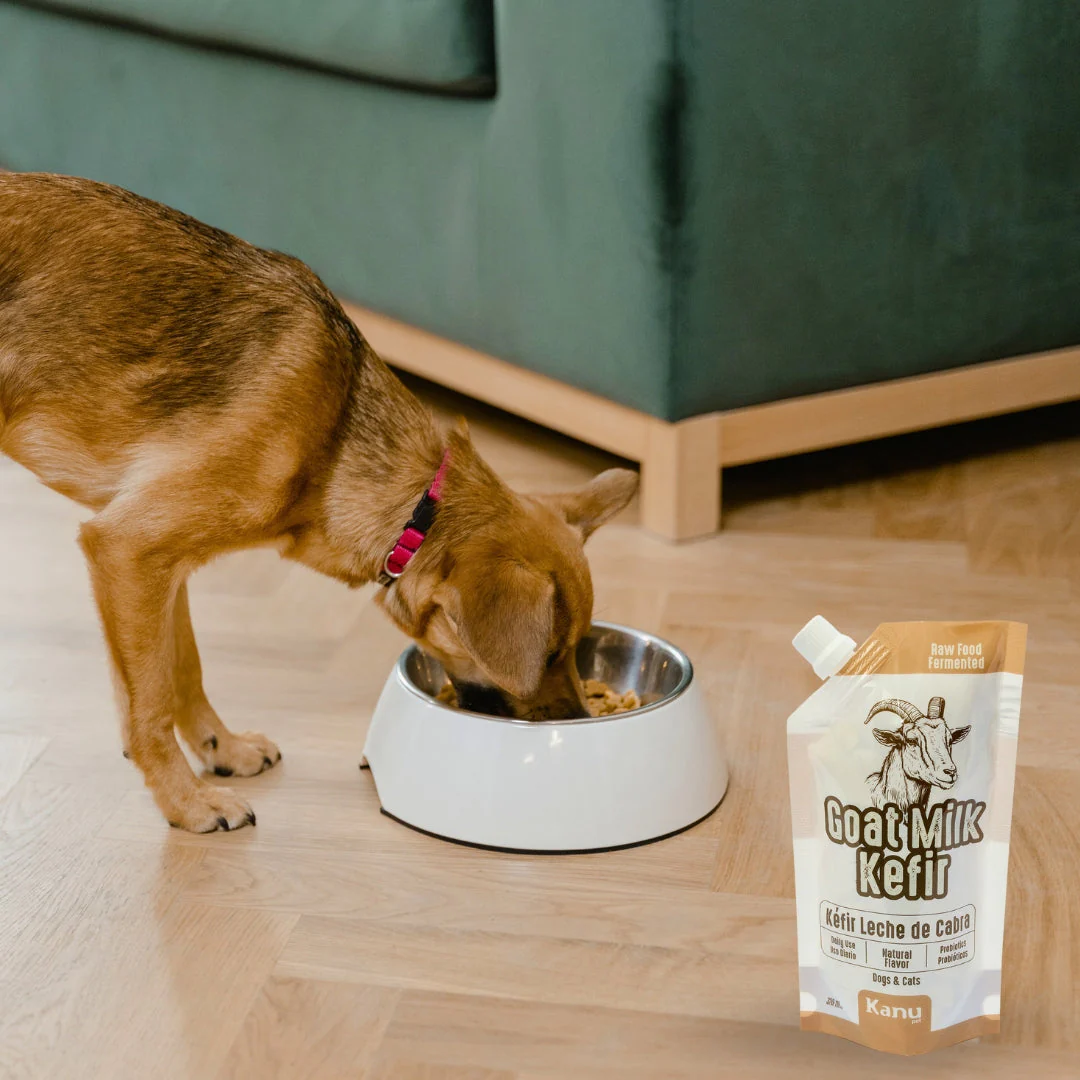 Kéfir Leche De Cabra Natural Kanu Pet Para Perro y Gato Bolsa - Imagen 5