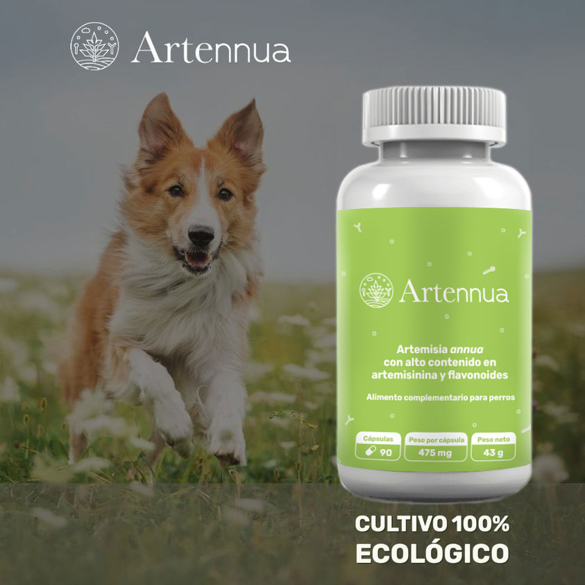Artennua Estimulador del Sistema Inmunológico