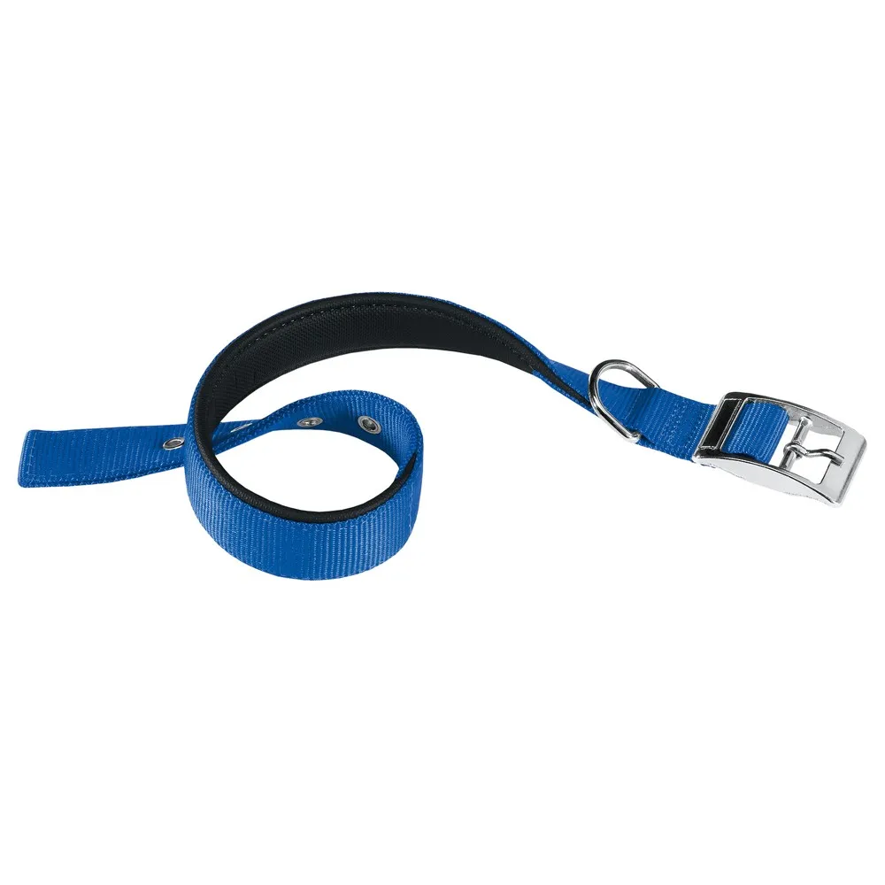 Collar acolchado Daytona C Ferplast
