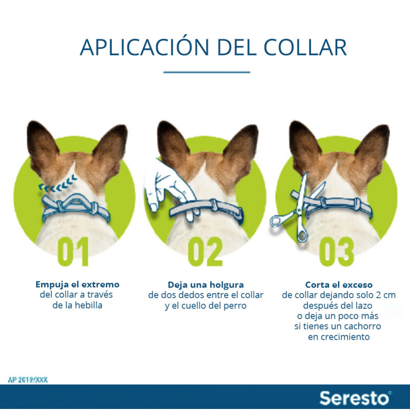 Seresto collar antipulgas perro pequeño 38 cm - Imagen 6