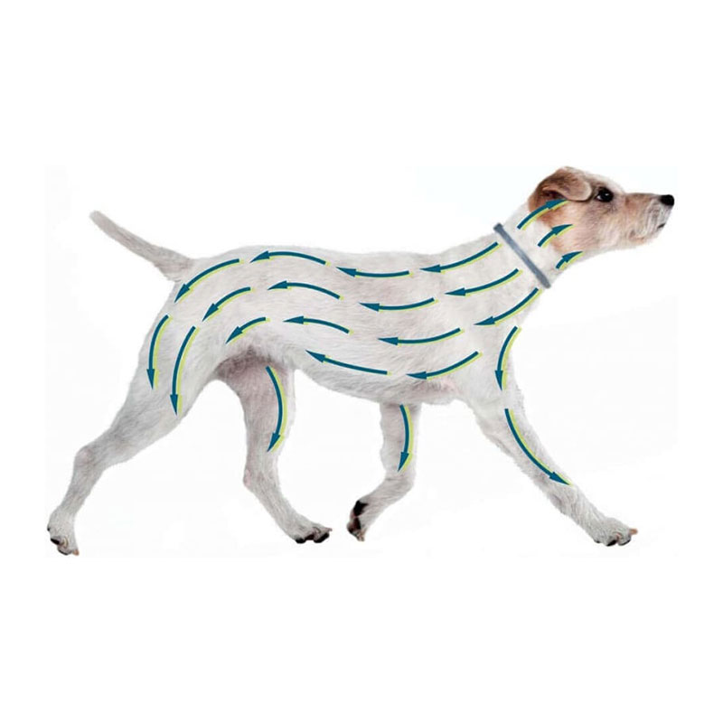 Seresto collar antipulgas perro pequeño 38 cm - Imagen 7