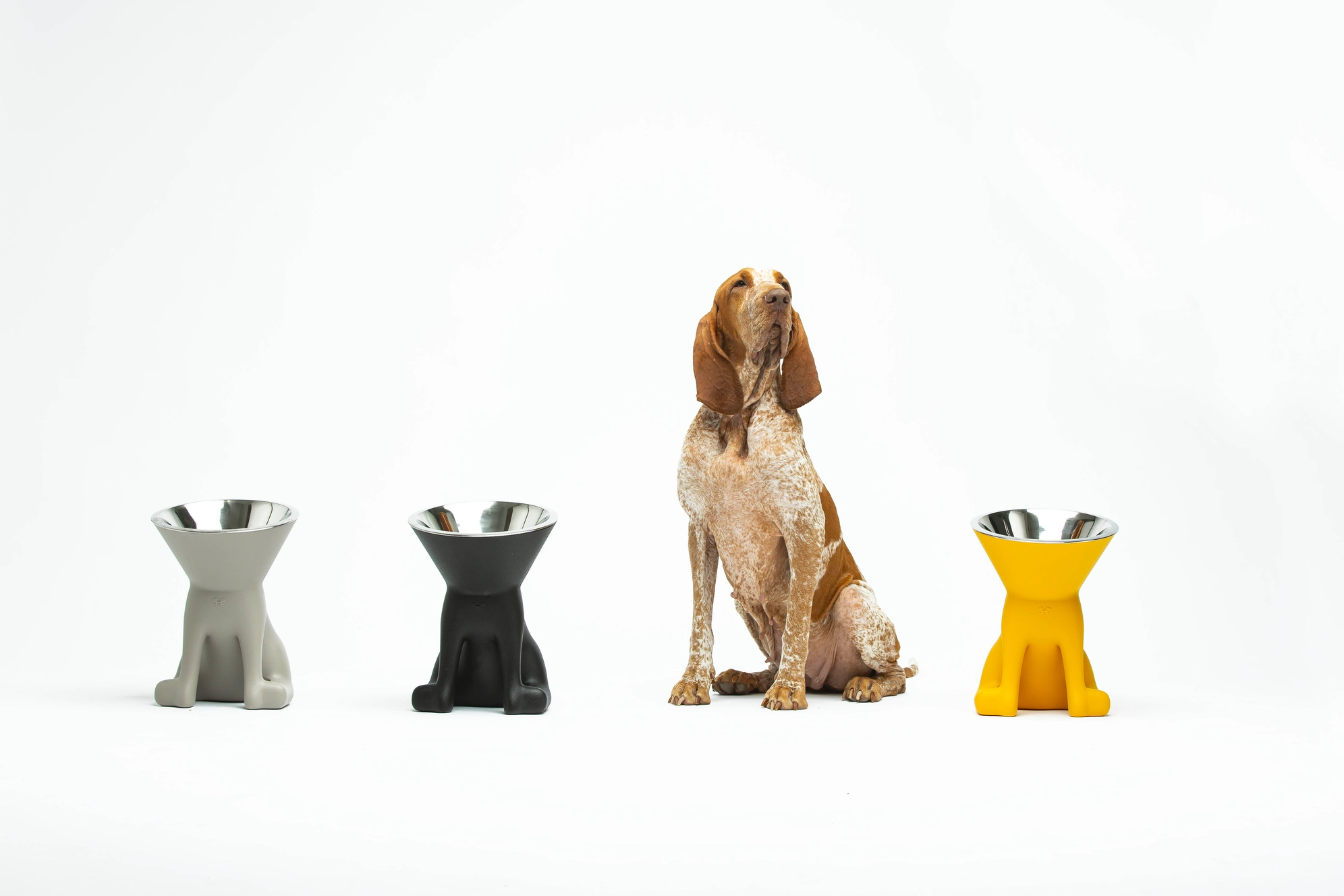 Elizabeth: cuenco elevado para perros