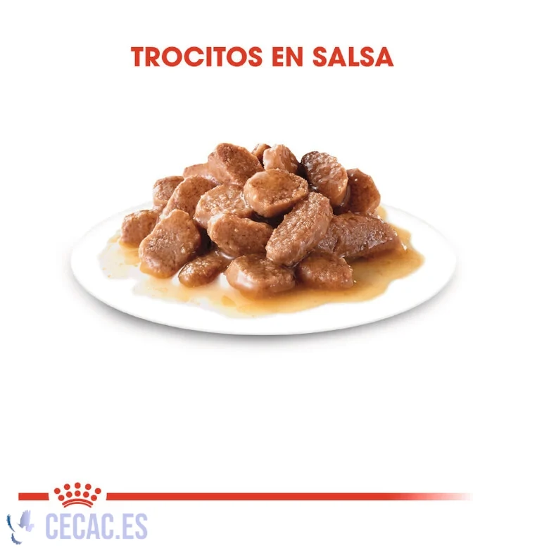ROYAL CANIN HAIRBALL SOBRE EN SALSA PARA GATOS
