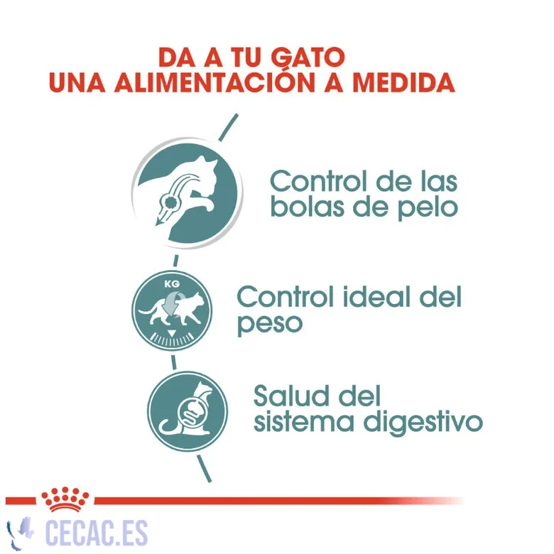 ROYAL CANIN HAIRBALL SOBRE EN SALSA PARA GATOS - Imagen 3