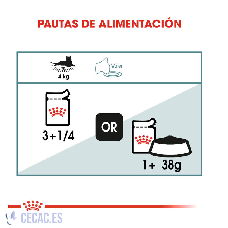 ROYAL CANIN HAIRBALL SOBRE EN SALSA PARA GATOS - Imagen 5