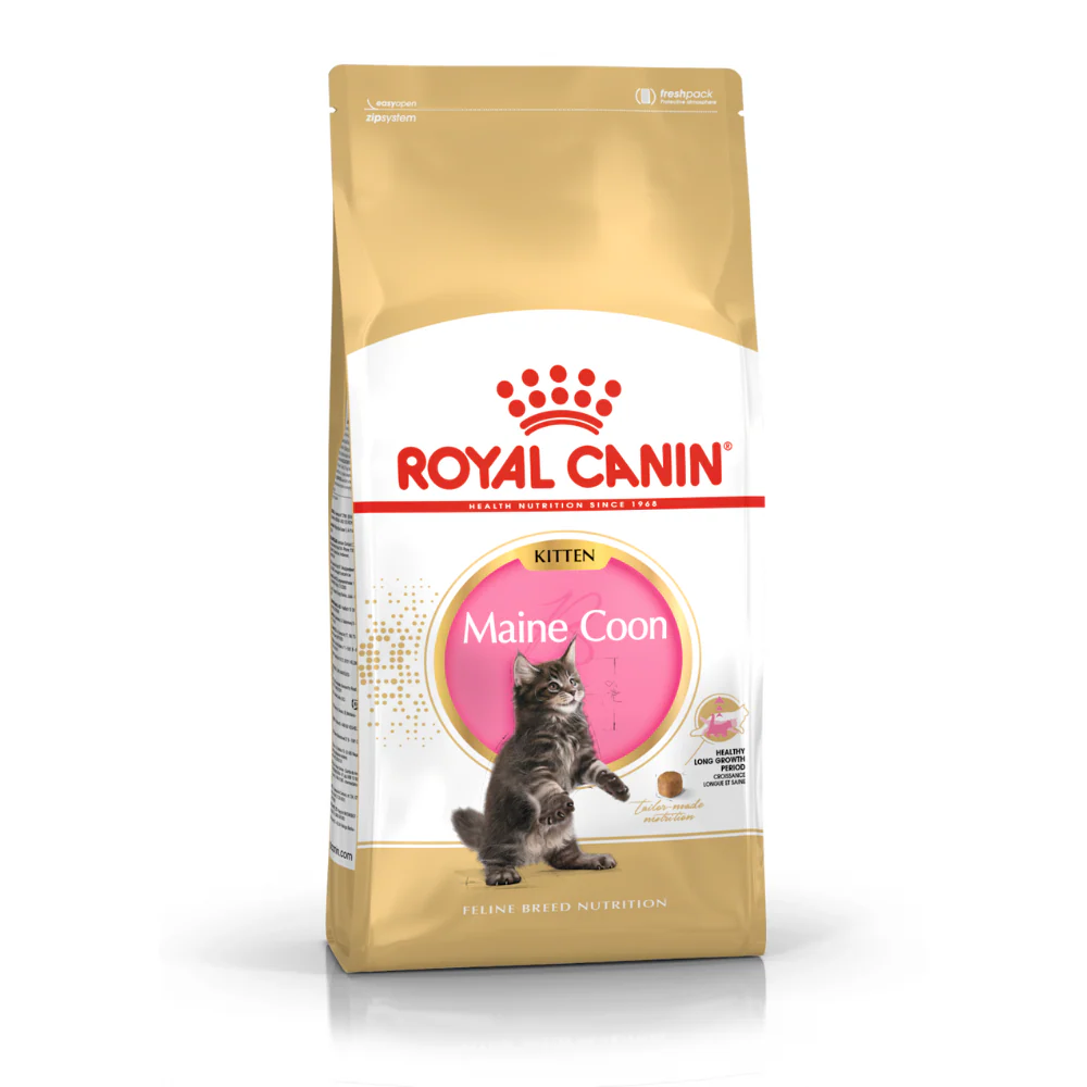 Alimento para gato Royal Canin Maine Coon Kitten 4kg