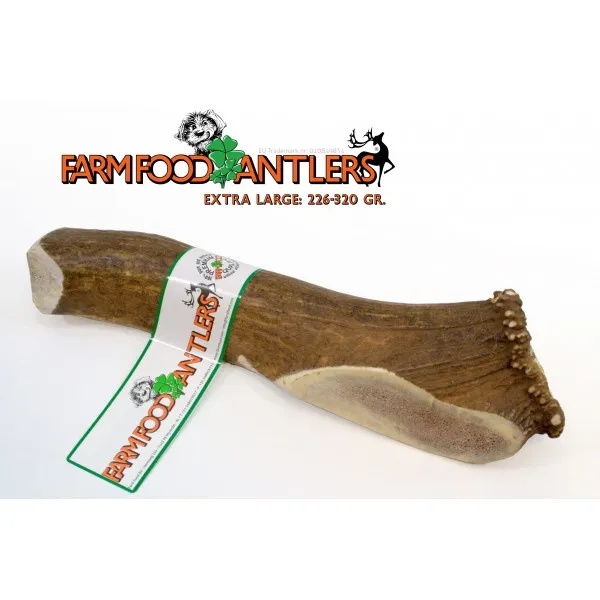 Astas de ciervo naturales para perro
